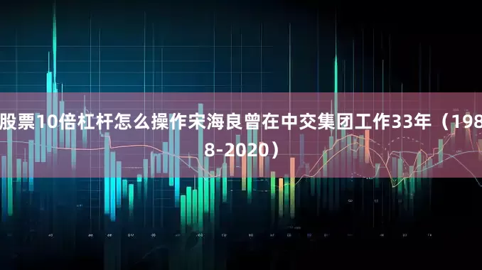 股票10倍杠杆怎么操作宋海良曾在中交集团工作33年（1988-2020）