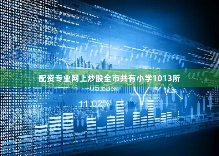 配资专业网上炒股全市共有小学1013所