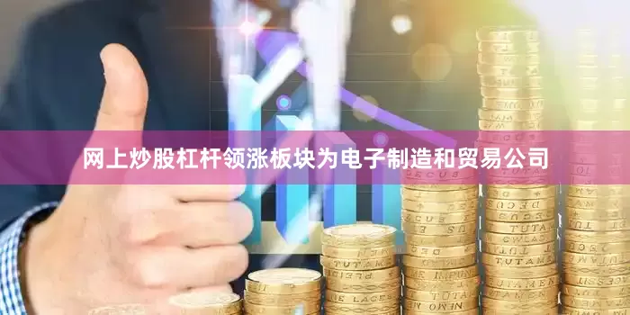 网上炒股杠杆领涨板块为电子制造和贸易公司