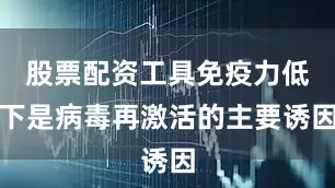 股票配资工具免疫力低下是病毒再激活的主要诱因