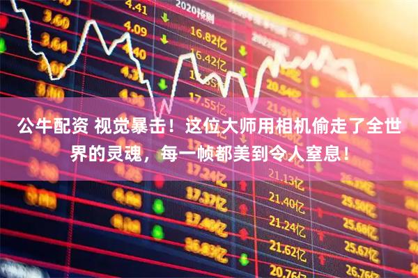 公牛配资 视觉暴击！这位大师用相机偷走了全世界的灵魂，每一帧都美到令人窒息！